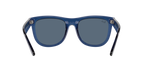 Ray-Ban 0RBR0502S WAYFARER REVERSE