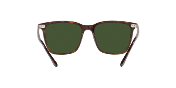 Ralph Lauren 0RL8199