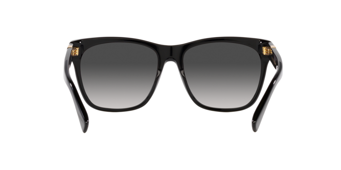 Ralph Lauren 0RL8212 THE RICKY II