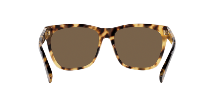 Ralph Lauren 0RL8212 THE RICKY II