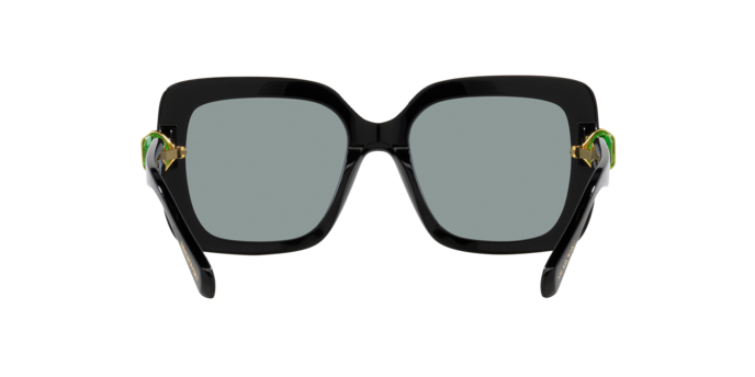 Swarovski 0SK6001