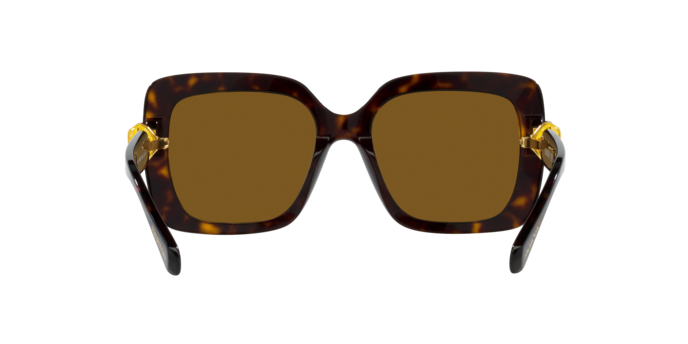 Swarovski 0SK6001