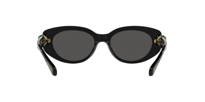Swarovski 0SK6002