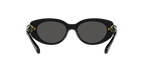 Swarovski 0SK6002