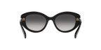 Swarovski 0SK6005