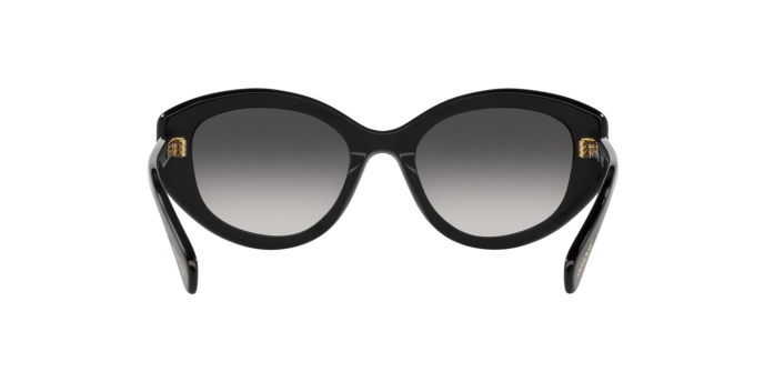 Swarovski 0SK6005