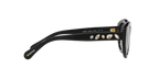 Swarovski 0SK6005