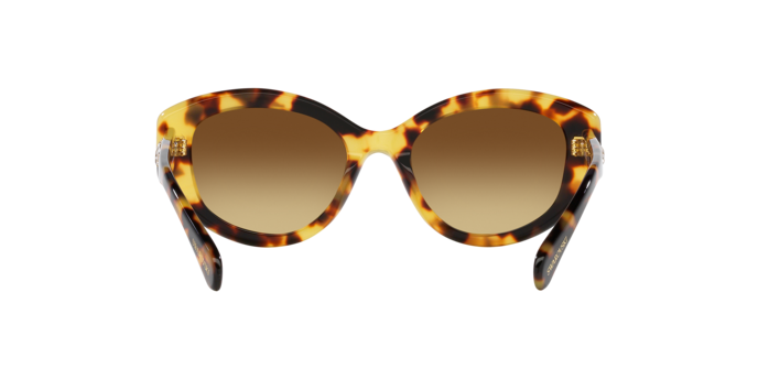 Swarovski 0SK6005