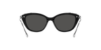 Swarovski 0SK6010