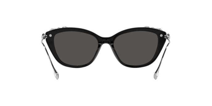 Swarovski 0SK6010