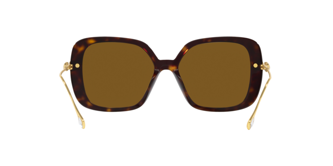 Swarovski 0SK6011