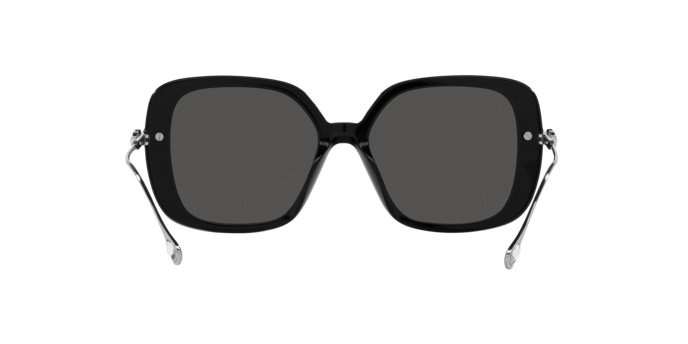 Swarovski 0SK6011
