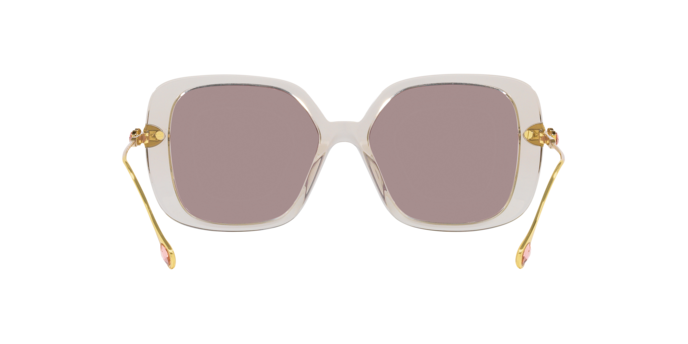 Swarovski 0SK6011