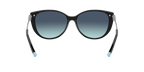 Tiffany & Co. 0TF4178F