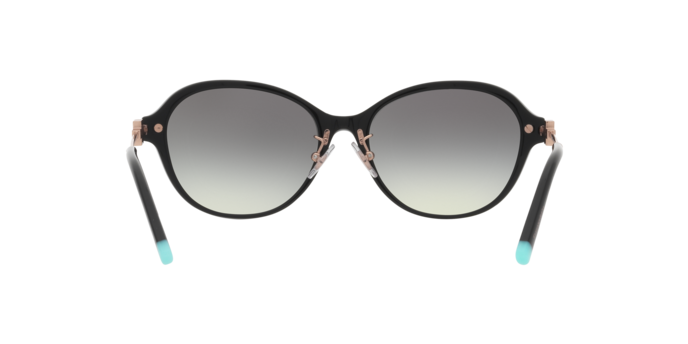 Tiffany & Co. 0TF4188D
