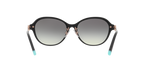 Tiffany & Co. 0TF4188D