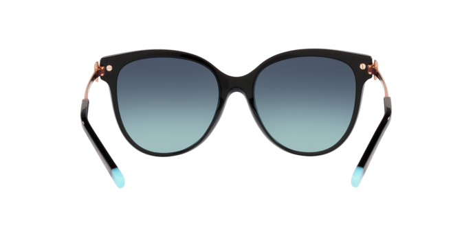 Tiffany & Co. 0TF4193BF