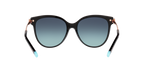 Tiffany & Co. 0TF4193BF