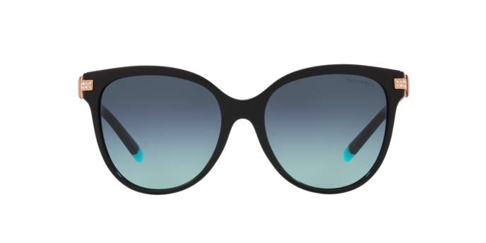 Tiffany & Co. 0TF4193B