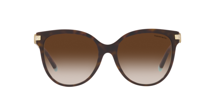 Tiffany & Co. 0TF4193B