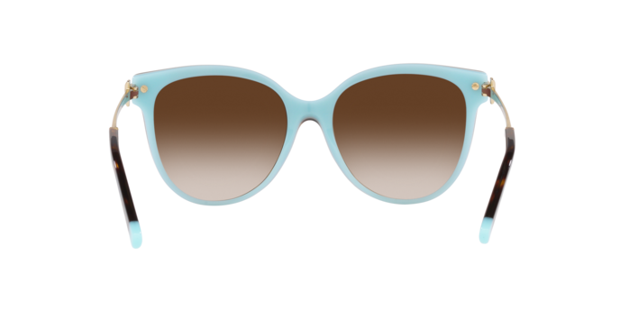 Tiffany & Co. 0TF4193B