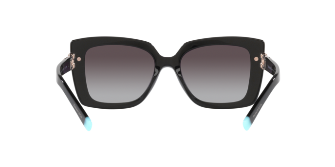 Tiffany & Co. 0TF4199