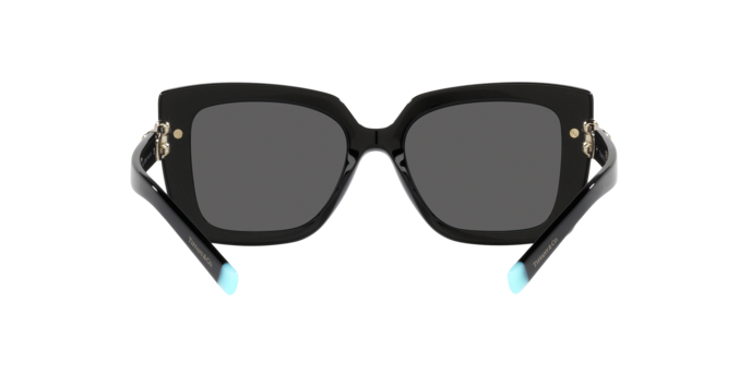 Tiffany & Co. 0TF4199