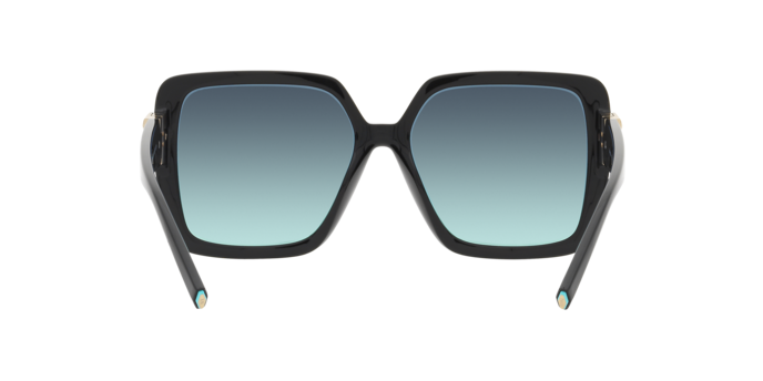 Tiffany & Co. 0TF4206U