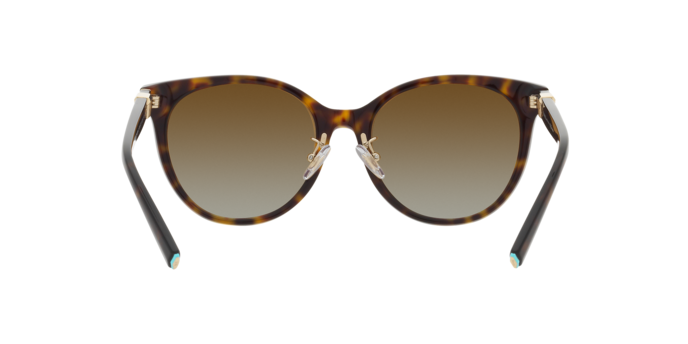 Tiffany & Co. 0TF4209D