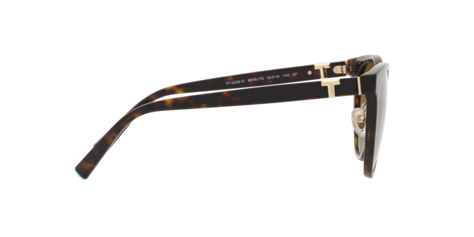 Tiffany & Co. 0TF4209D