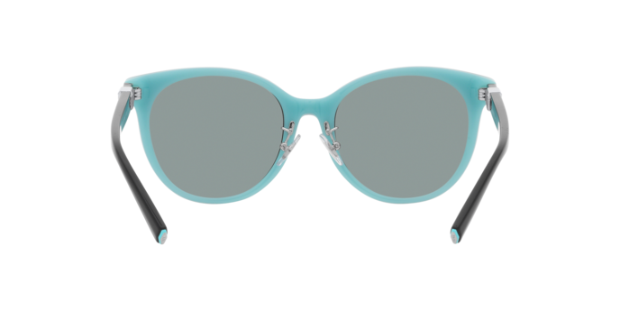 Tiffany & Co. 0TF4209D