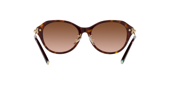Tiffany & Co. 0TF4210D