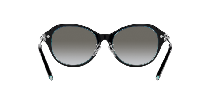 Tiffany & Co. 0TF4210D