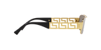 Versace 0VE2257