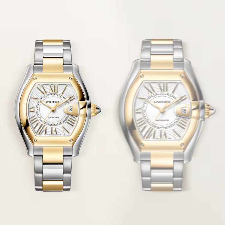 Roadster Medium Model | 35mm, Two-Tone Stainless Steel & 18K Yellow Gold