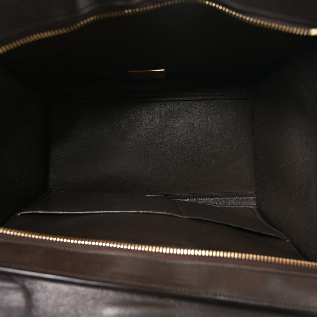Sleek Calfskin Tri-color Small Trapeze Wine