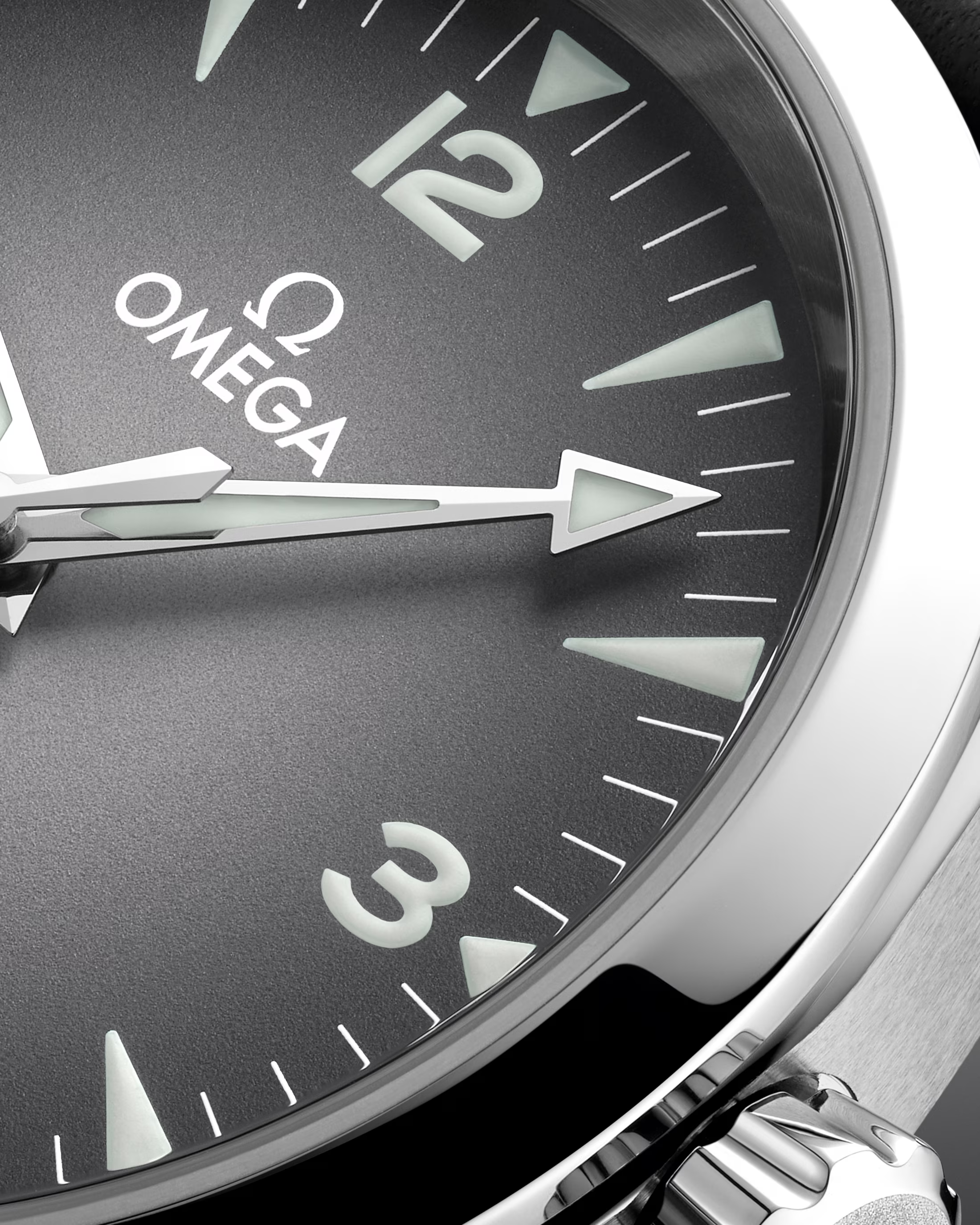 Seamaster Railmaster