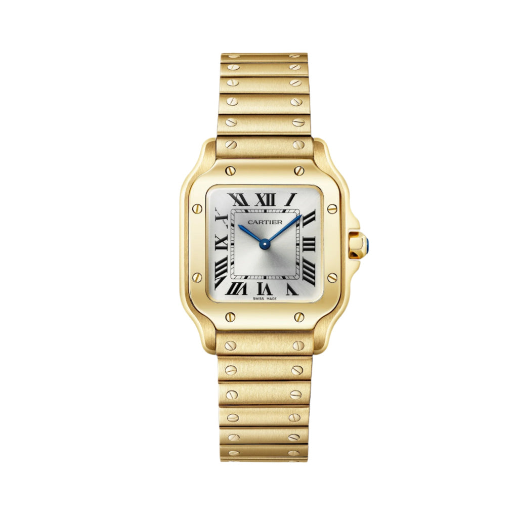 Santos De Cartier Small Model