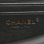 Shiny Goatskin Quilted Mini Chain Strap Flap Black