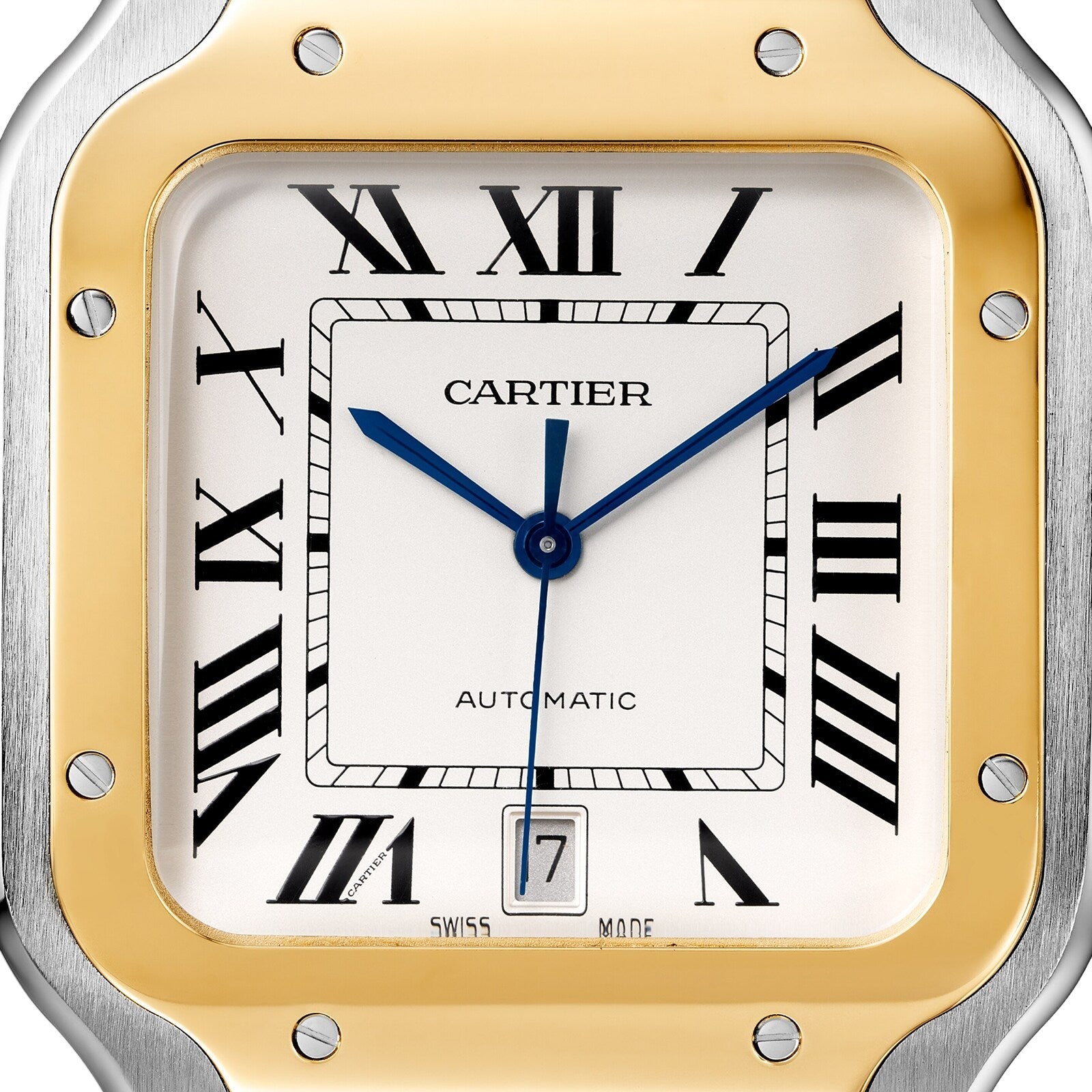 Santos de Cartier Large Model