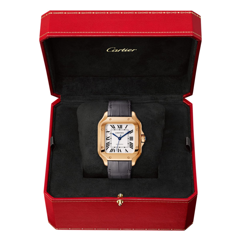 Santos de Cartier Medium Model
