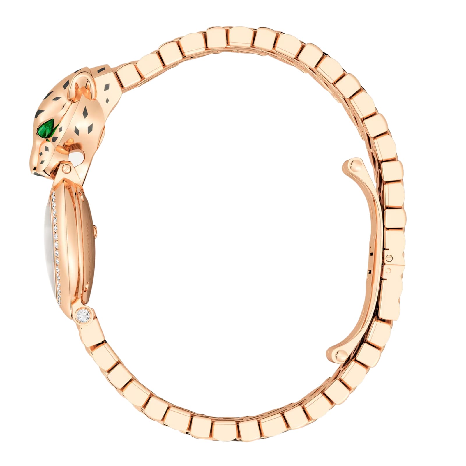 La Panthère de Cartier