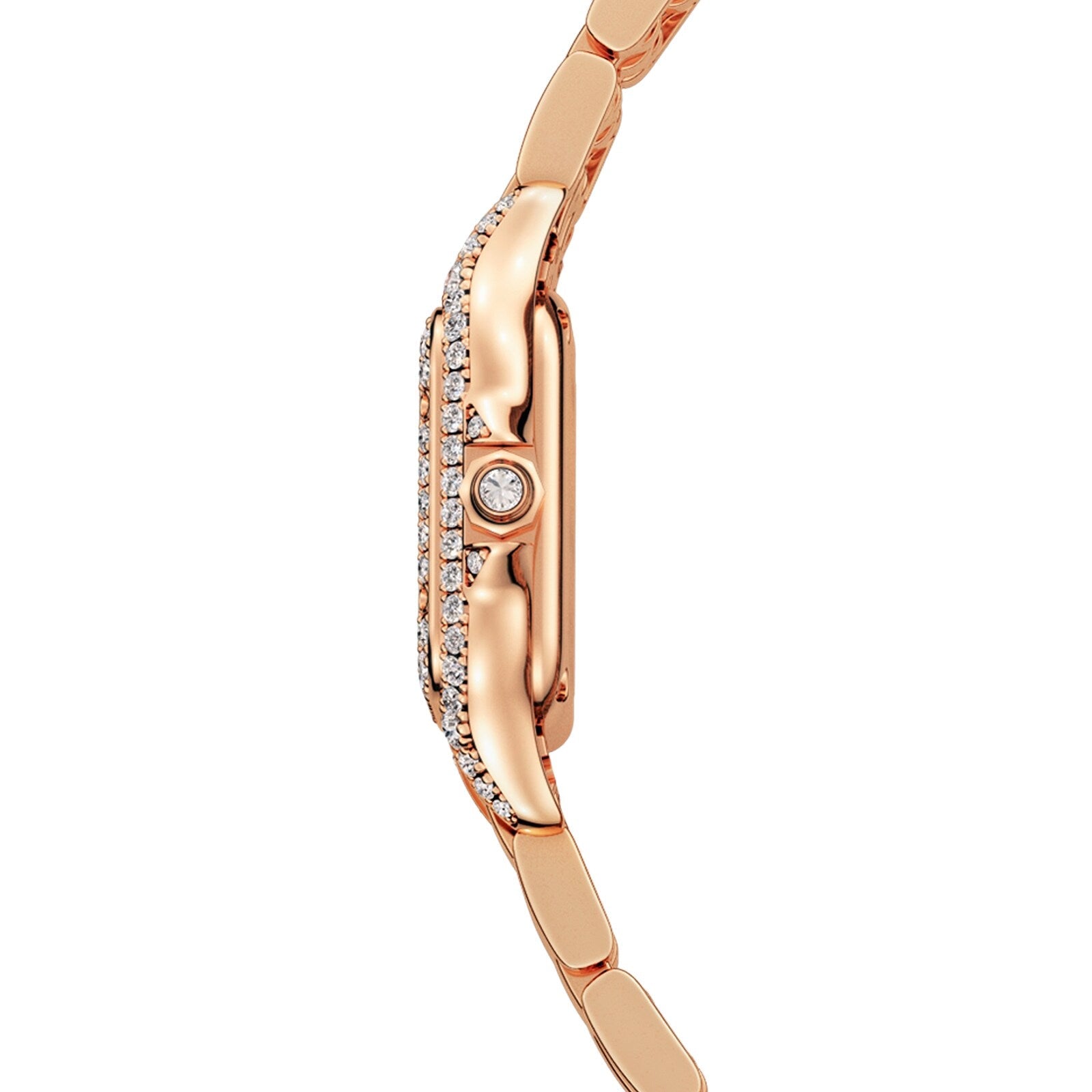 Panthère de Cartier Small Model