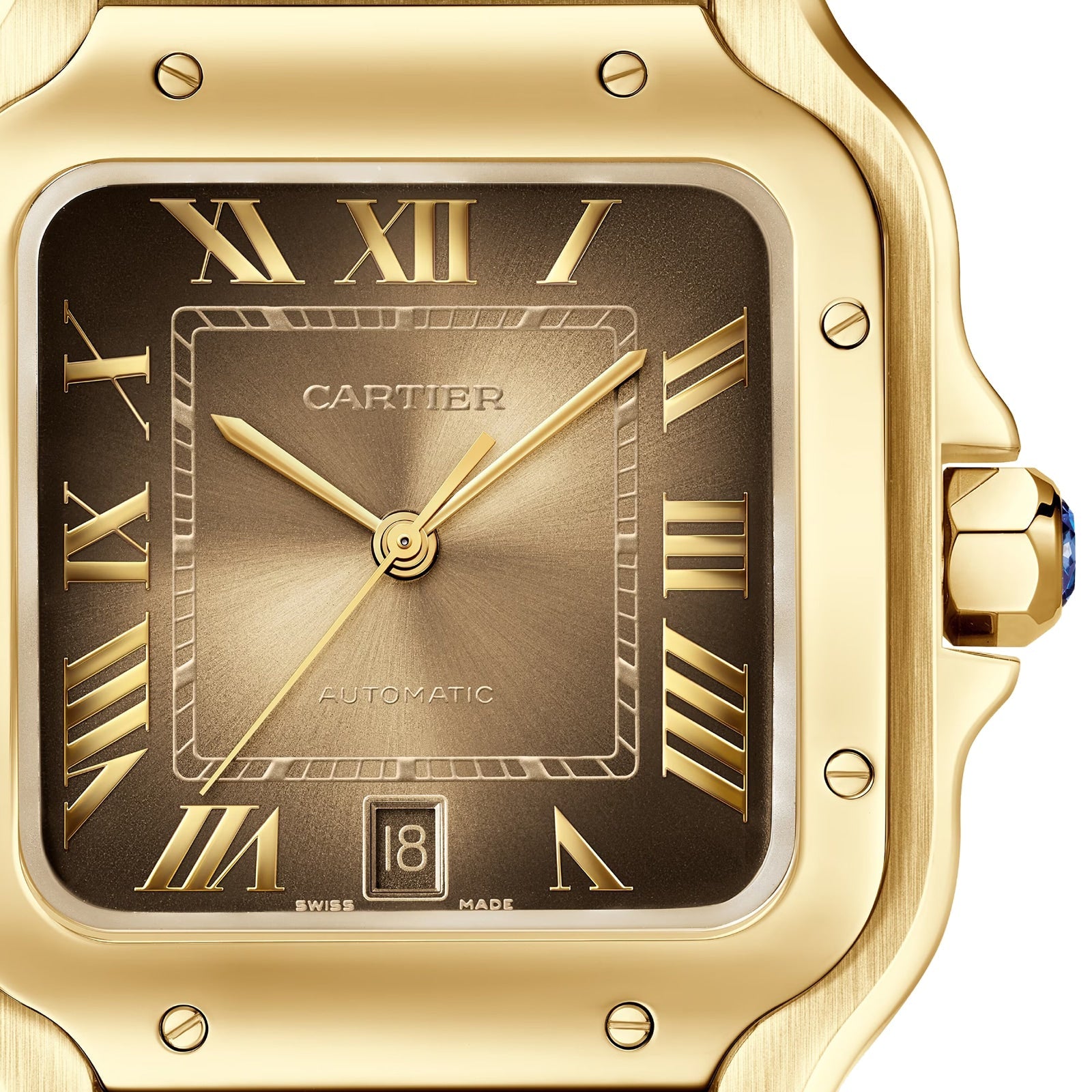 Santos de Cartier Large Model