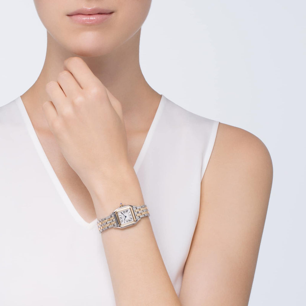 Panthère de Cartier Small Model