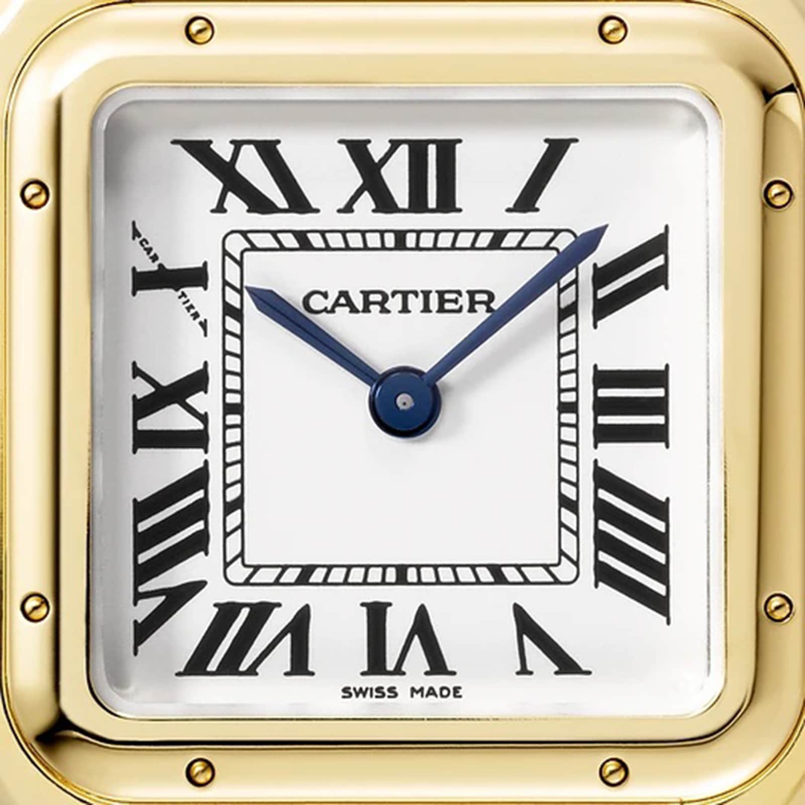 Panthère de Cartier Small Model