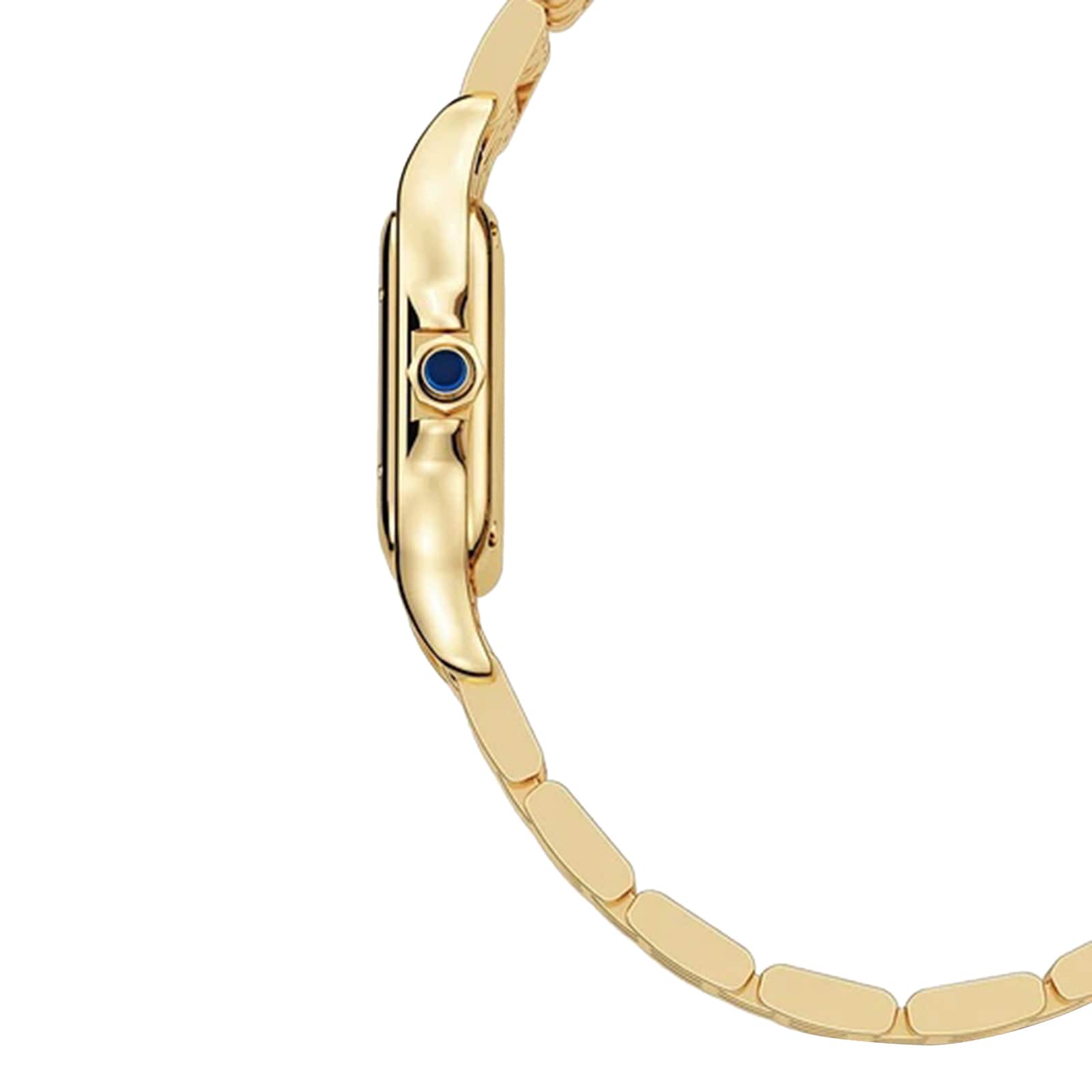 Panthère de Cartier Small Model