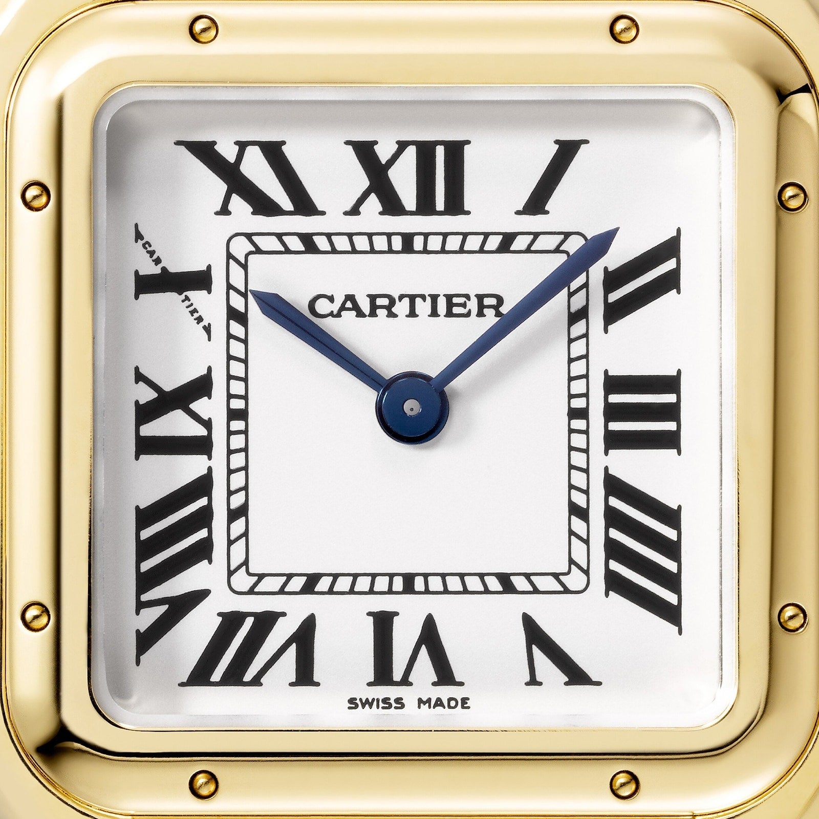 Panthère de Cartier Medium Model