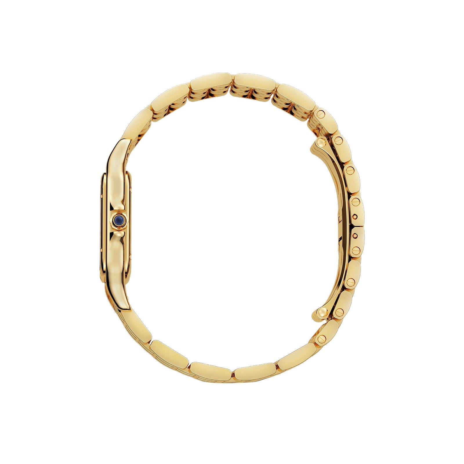Panthère de Cartier Medium Model
