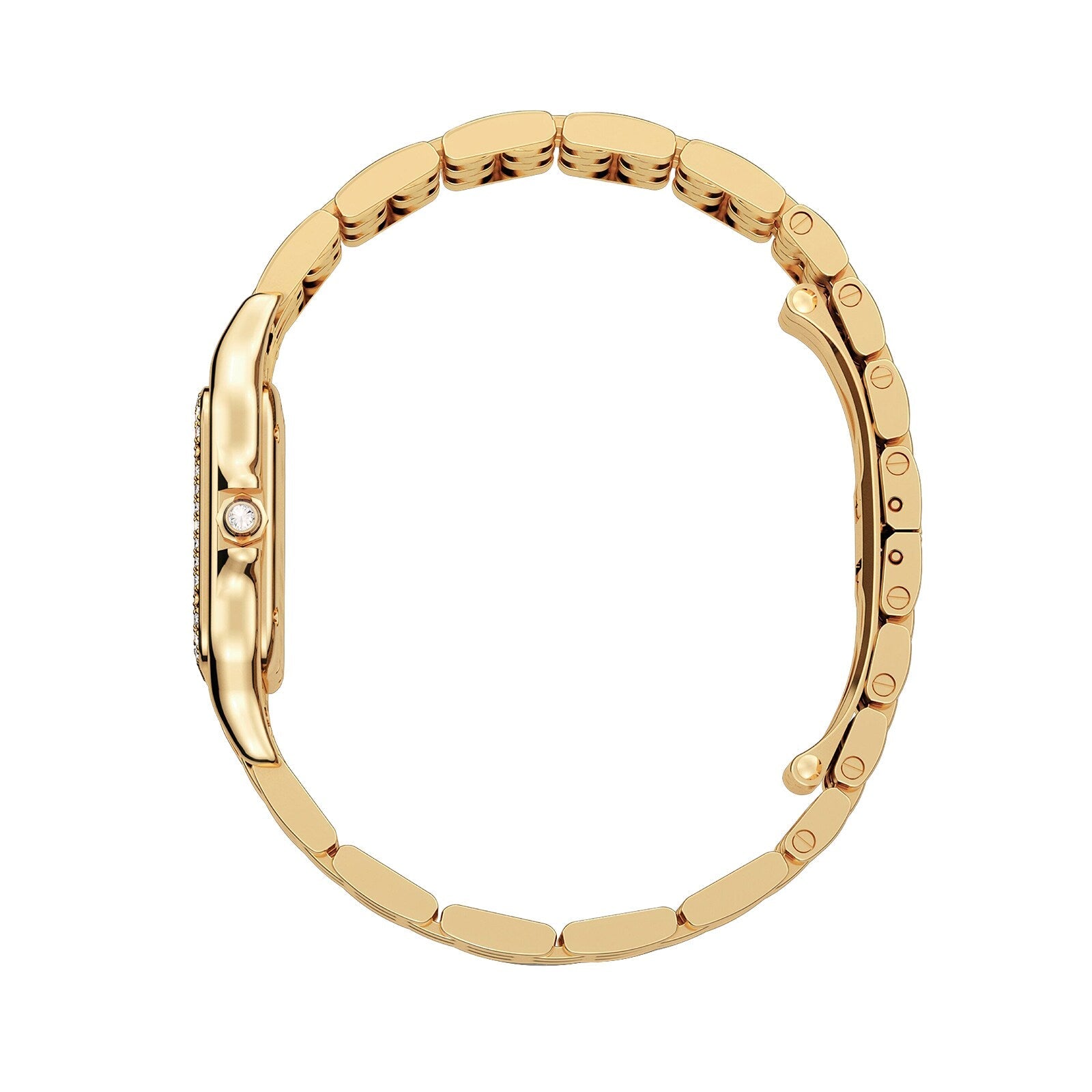 Panthère de Cartier Medium Model